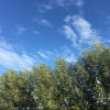 墨玉晨曦的头像