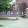 夏家军海的颜色的头像