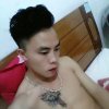 看透了你的谎言的头像