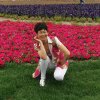 琴的头像