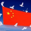 玲姐的头像