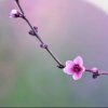 梦里水乡的头像