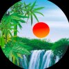 相逢K歌的头像