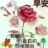 天天快乐的头像
