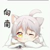 向南的头像