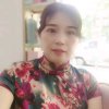 自由飞翔的头像