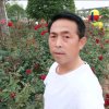云中 承诺绊人生的头像