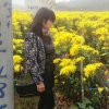 天街土特产：15256661811的头像