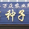 刘海云  暂停的头像