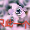 云中飞的头像