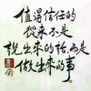 青松的头像