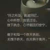琦 琦的头像