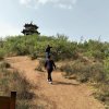 飘渺海的头像