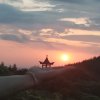 梅的头像