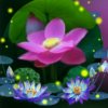 吉祥a美好（小号送花）的头像