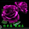 安静的头像
