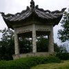 小小绿箩的头像