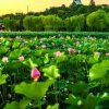 一生何求的头像