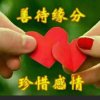 可惜没如果的头像