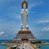 农村人的头像