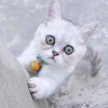 LOVEwlr的头像