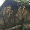 佛缘静心修心阿弥陀佛暂退的头像