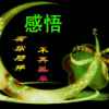  珍惜的头像