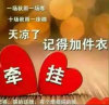 萍子的头像