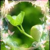 Ilovemyfamily的头像