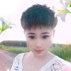 迷离的头像