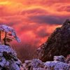 汉源散人的头像
