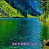 重新再来的头像
