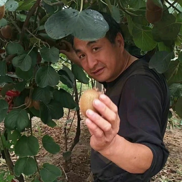 永远放你在心底(热度:63)由晨风雨露翻唱，原唱歌手晨熙/司徒兰芳