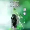 “许冠杰”的头像