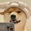 xinna.的头像