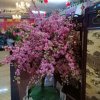 孤芳自赏的头像