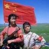 馨天李的头像