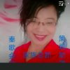 秦腔懂霞霞的头像