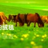 站在海边看风景盛世文娱的头像