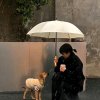 …的头像