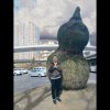 黄瓜L家族启航的头像