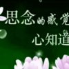 思念的感觉心知道的头像