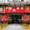 凤凰于飞的头像