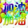 青花瓷的头像
