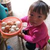 天边一束火的头像