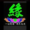 惜缘的头像