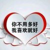 真心惜Love的头像