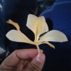 杨家将《美美哒》的头像