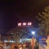 智会人生的头像