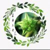 蒺藜的头像